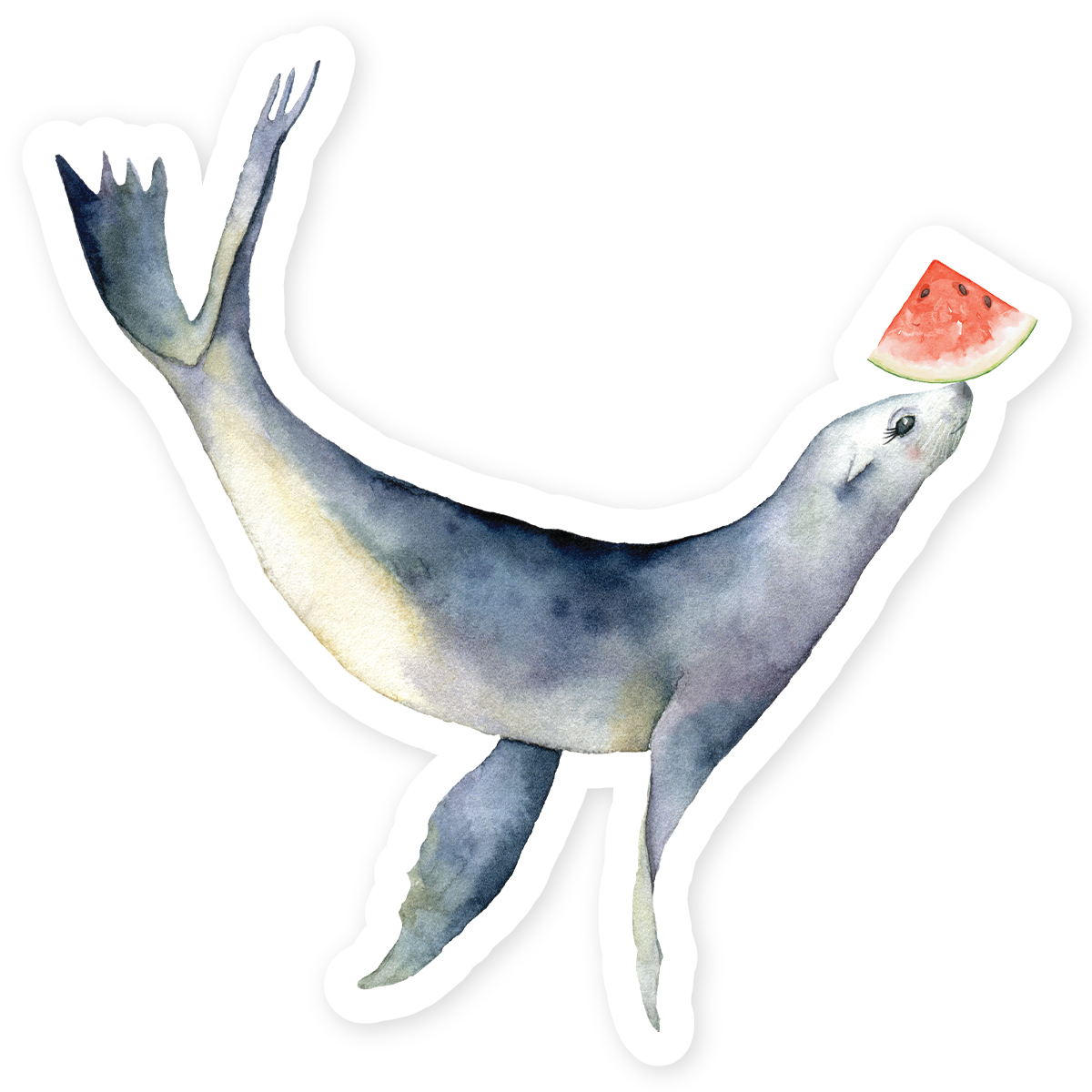 Hopper Studios Vinyl Stickers - Summer the Sea Lion