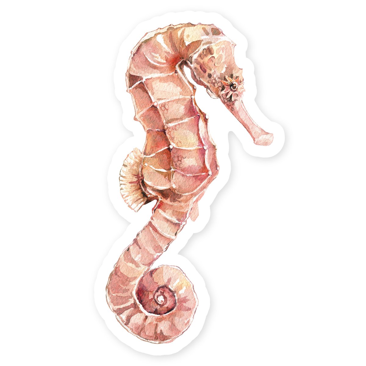 Hopper Studios Vinyl Stickers - Sebastian the Seahorse