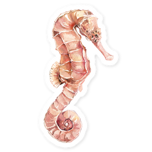 Hopper Studios Vinyl Stickers - Sebastian the Seahorse