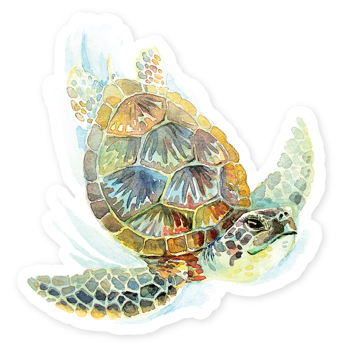 Hopper Studios Vinyl Stickers - Sloan the Sea Turtle