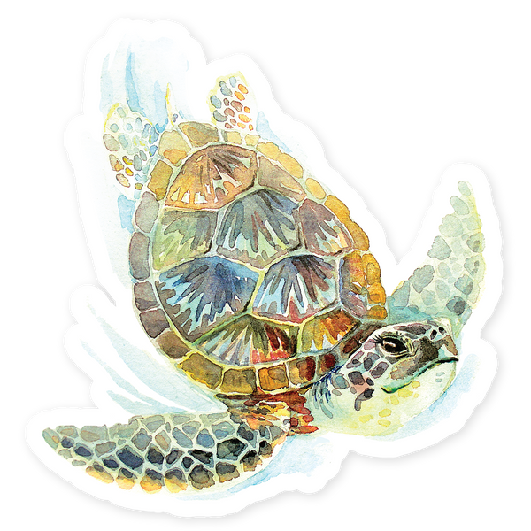 Hopper Studios Vinyl Stickers - Sloan the Sea Turtle